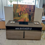 ΕΠΙΠΛΟ ΤΗΛΕΟΡΑΣΗΣ
